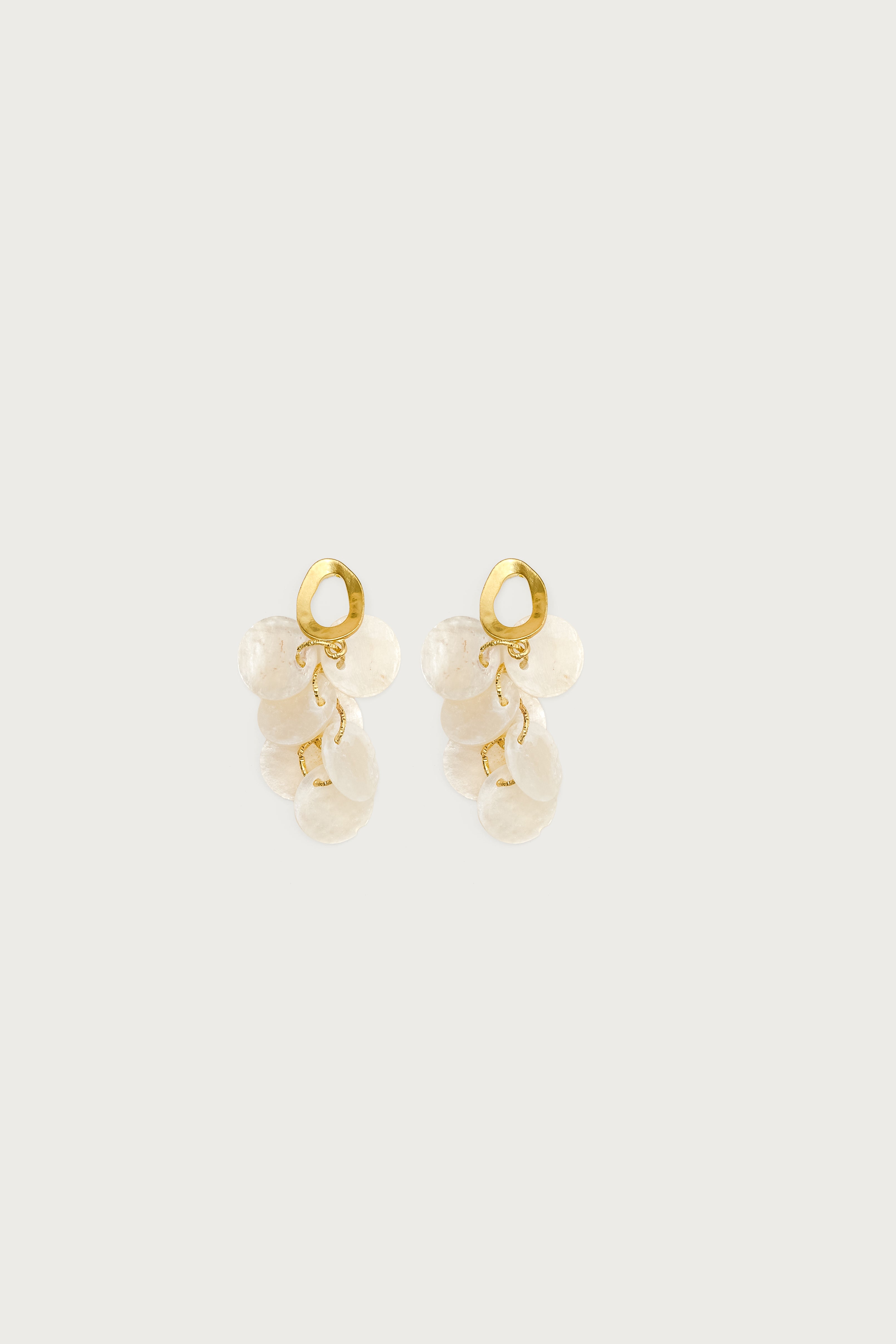 Iridescent Charm Dangling Earrings