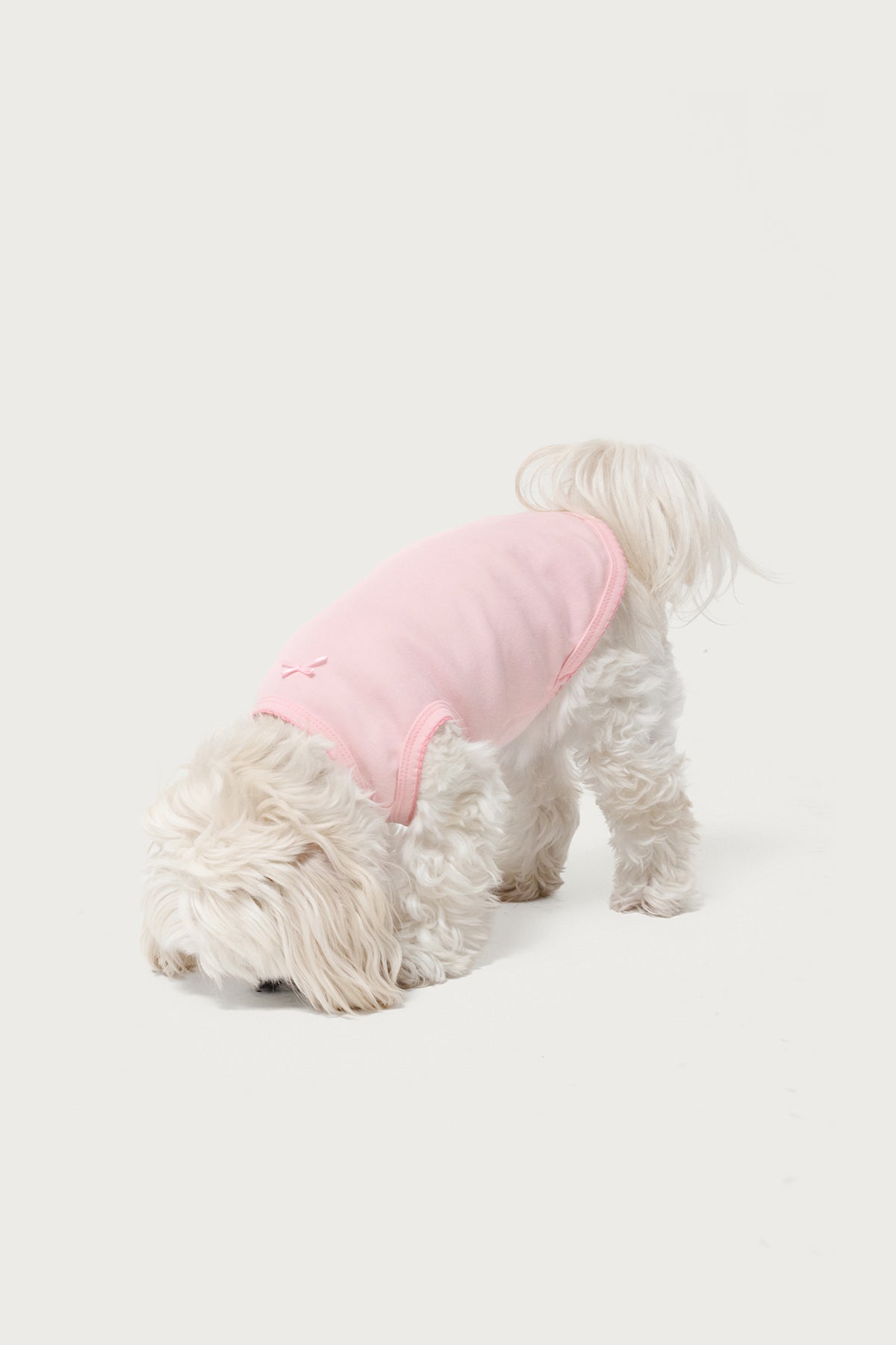 Pawfect Pet Tank Top