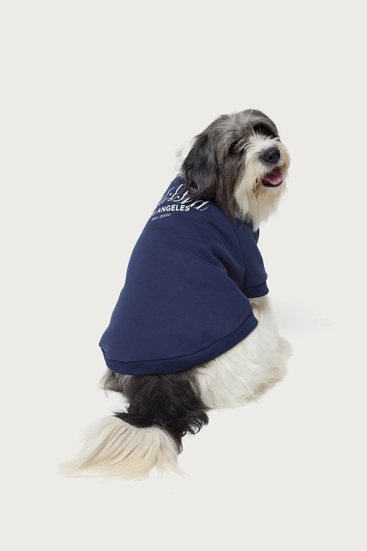 Get Edikteds Pet Sweatshirt