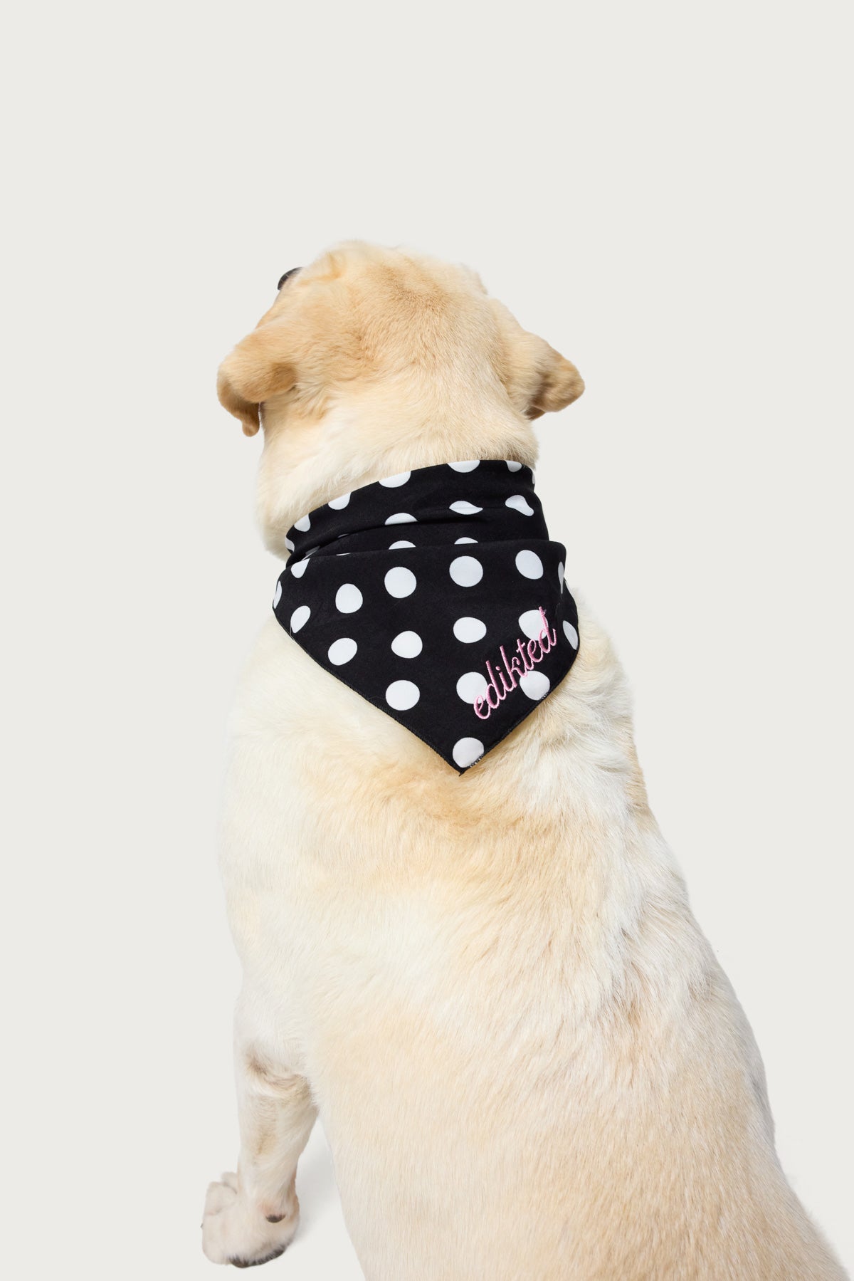 Polka Dot Edikteds Pet Bandana