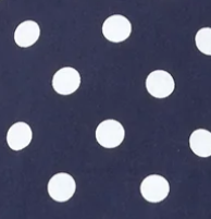 NAVY-AND-WHITE