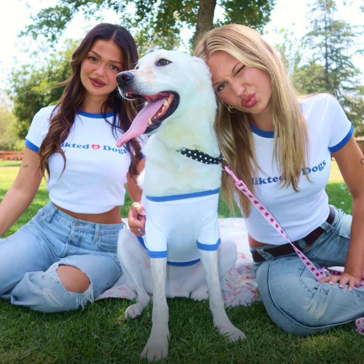 SHOP Edikteds ♥️ PETS