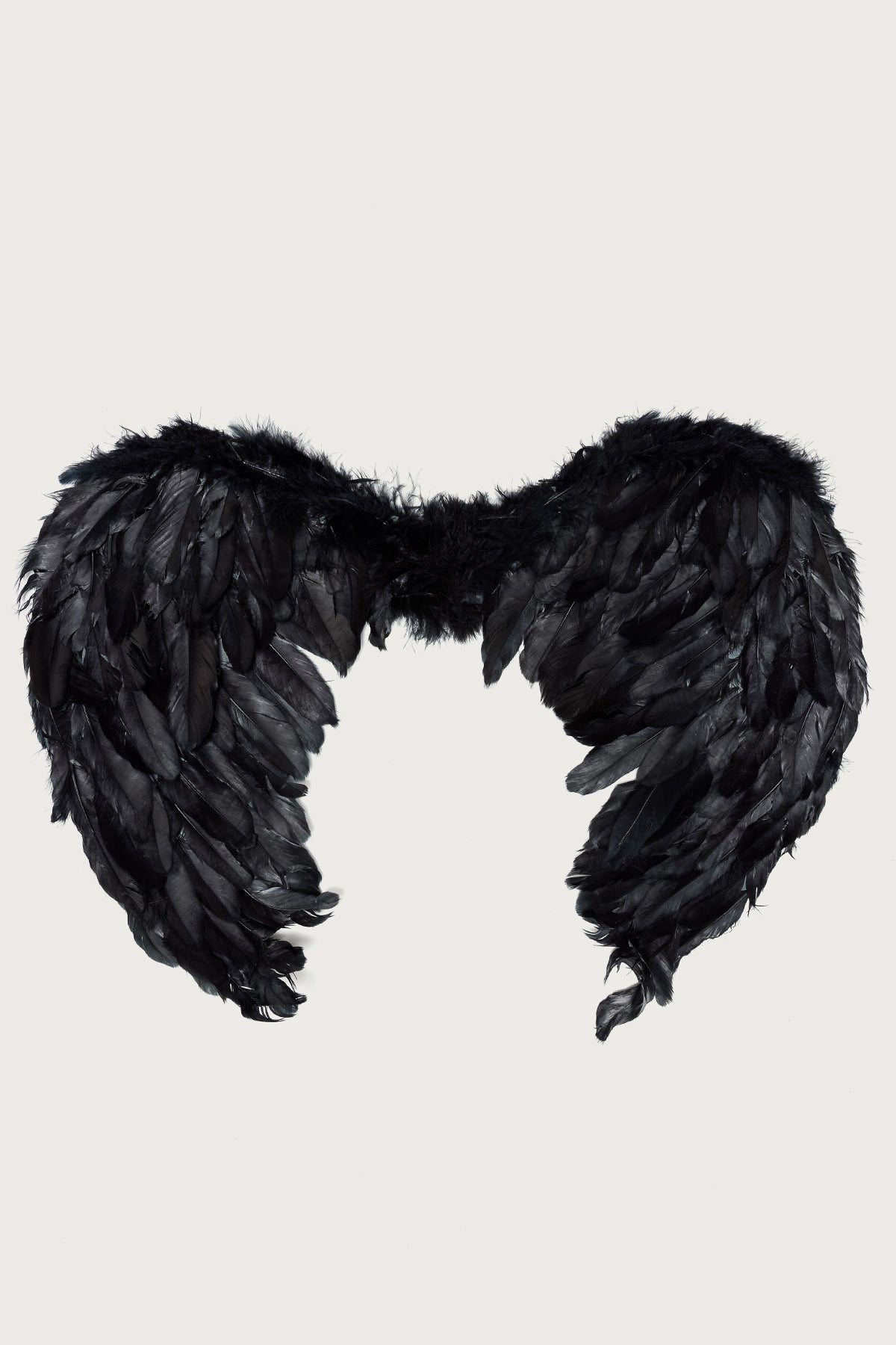Fallen Angel Wings - Image 2