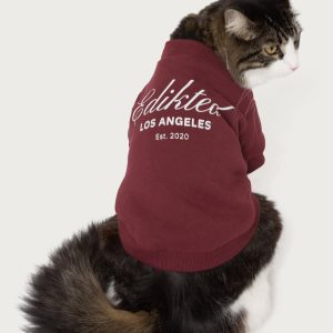 Get Edikted Pet Sweatshirt