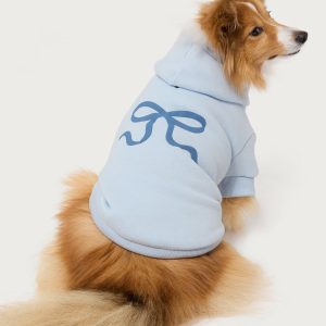 Bonney Bow Pet Hoodie