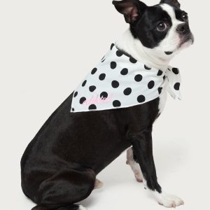 Pawka Dot Edikted Pet Bandana