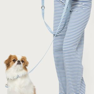 Striped Pet Leash